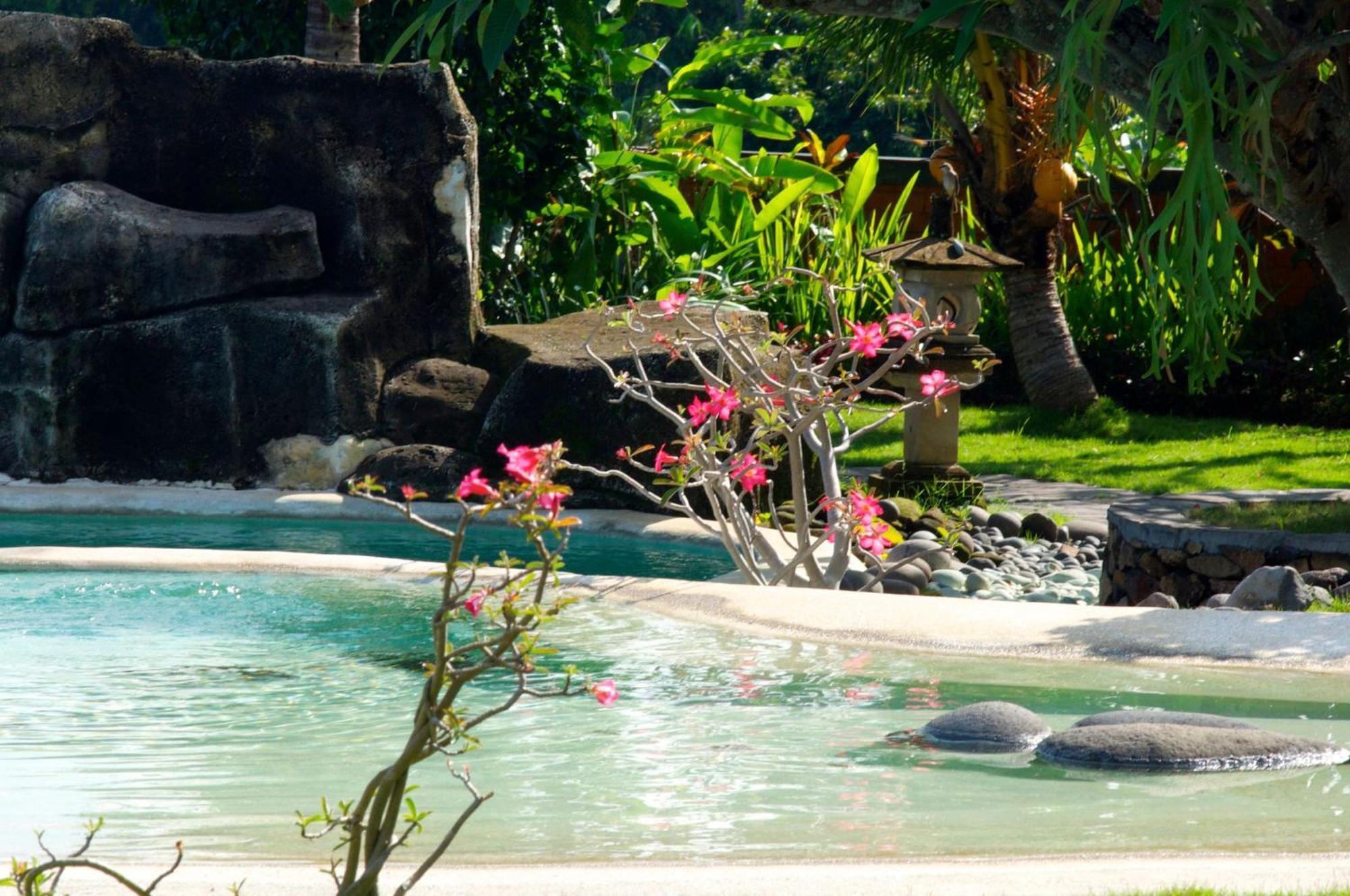 Villa Bali Pondok Jepang لوفينا المظهر الخارجي الصورة